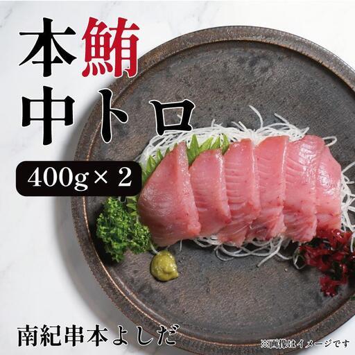 ふるさと納税 南紀串本よしだ 本鮪 中トロ サク 400g×2 合計 800g 和歌山県高野町