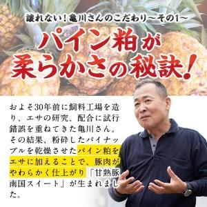 ふるさと納税 b0-079 甘熟豚南国スイート豚肉(6種・4.5kg) 鹿児島県志布志市|furunavi|04