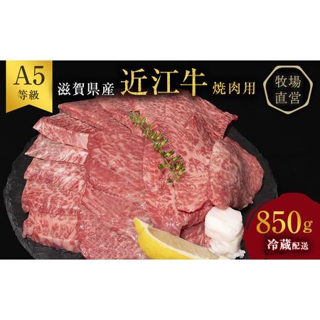 税込 西川畜産 A5ランク雌牛 近江牛 ふるさと納税 牛肉 滋賀県豊郷町 焼肉用 滋賀県豊郷町 モモ カタ ウデ バラ系等 約850g 肉 ハム ソーセージ