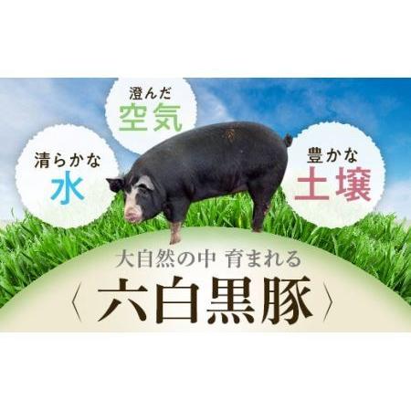 ふるさと納税 【A02038】黒豚餃子セット(12個入×10パック) 鹿児島県肝付町|furunavi|03