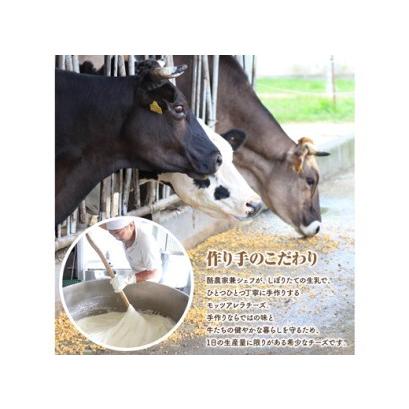 ふるさと納税 モッツァレラチーズ6個入セット【15001】 北海道恵庭市|furunavi|04