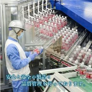 ふるさと納税 強炭酸水 【3ヶ月お届け！】ウィルキンソンタンサン PET1L×1箱(12本入) 定期便 アサヒ 炭酸 山梨県富士吉田市_4