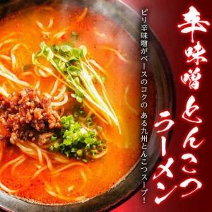 ふるさと納税 辛ラーメン2種食べ比べ 計5食 [SAQ001] ラーメン 長崎