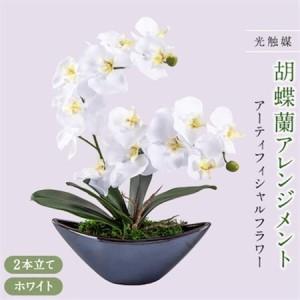 ふるさと納税 アーティフィシャルフラワー胡蝶蘭アレンジメント光触媒 ホワイト 福岡県大野城市 ふるなび ふるさと納税 通販 Yahoo ショッピング