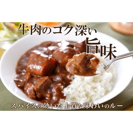 ふるさと納税 507.ビーフカレー 10個 セット 中辛 牛肉 業務用 レトルトカレー 野菜 備蓄 まとめ買い 北海道 弟子屈町 北海道弟子屈町｜furunavi｜03