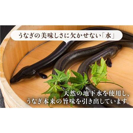 ふるさと納税 【3回定期便】国産うなぎ蒲焼・白焼3枚セット（鰻蒲焼2枚・白焼1枚） [FAD003] 佐賀県吉野ヶ里町_3