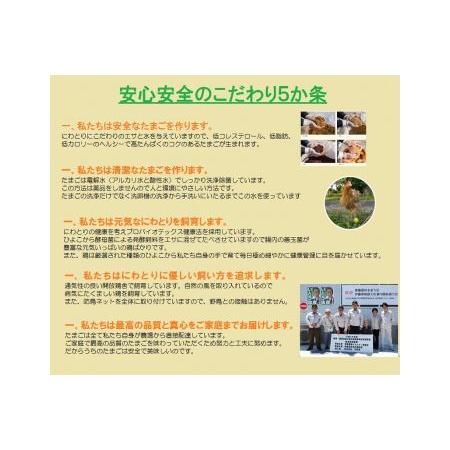 ふるさと納税 日本三大地鶏!!本当に美味しい食べ物は調味料の味に負けません!「純系 名古屋コーチンの卵」(30個) 愛知県大府市|furunavi|03