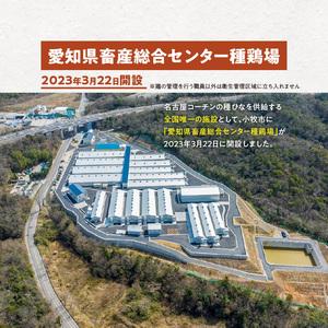 ふるさと納税 壮平さんどら焼き 名古屋コーチン 日本三大地鶏 小牧市発祥[009B02] 愛知県小牧市の画像