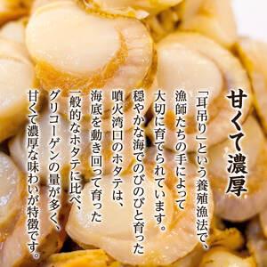 ふるさと納税 【北海道産】ボイルベビーホタテ SSサイズ 3kg（1kg×3袋、1袋あたり200〜300個） 加熱用 ほたて ホタテ 帆立 北海道鹿部町の画像