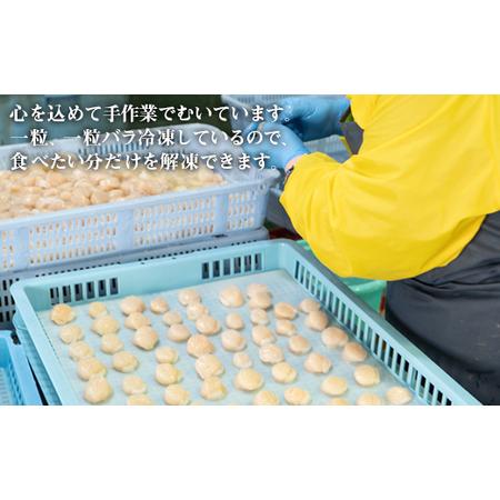 ふるさと納税 【北海道産】【緊急支援品】お刺身用ホタテ貝柱600g(300g×2)  ほたて 帆立 生食用 小分け 事業者支援 中国禁輸措置 北海道鹿部町｜furunavi｜03