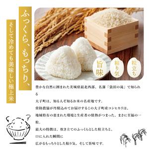 令和7年産 茨城県産 コシヒカリ 精米 合計10kg (5kg×2袋)茨城のお米 