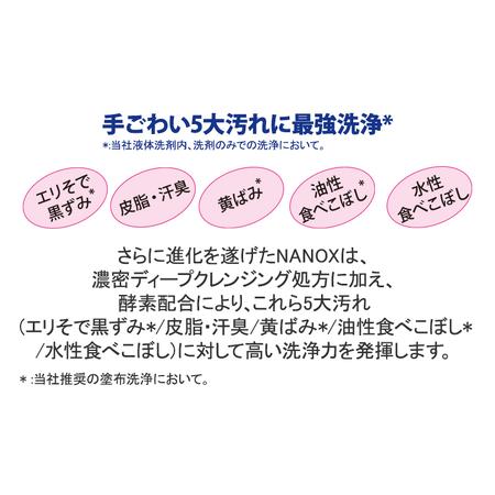 ふるさと納税 洗剤 定期便 2回 スーパー ナノックス ギフト セット 400g×2本 詰め替え用 350g×9袋 トップ LSN-50A 洗濯 詰替 千葉県市原市 ナノックス