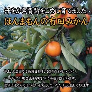 ふるさと納税 【2022年12月発送予約分】【農家直送】こだわりの有田みかん 約7.5kg サイズお任せ 有機質肥料100%【12月発送】【nuk100-2】 和歌山県北山村|furunavi|02