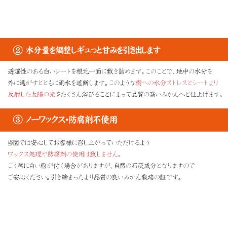 ふるさと納税 【2022年12月発送予約分】【農家直送】こだわりの有田みかん 約7.5kg サイズお任せ 有機質肥料100%【12月発送】【nuk100-2】 和歌山県北山村|furunavi|04