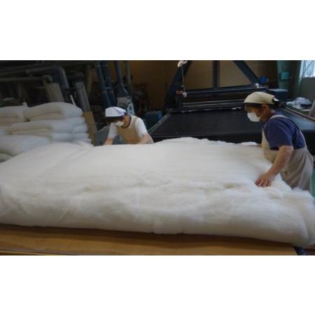 ふるさと納税 エジプト綿入り「究極の掛ふとん」（ブルー）【CW74W】 滋賀県近江八幡市_3