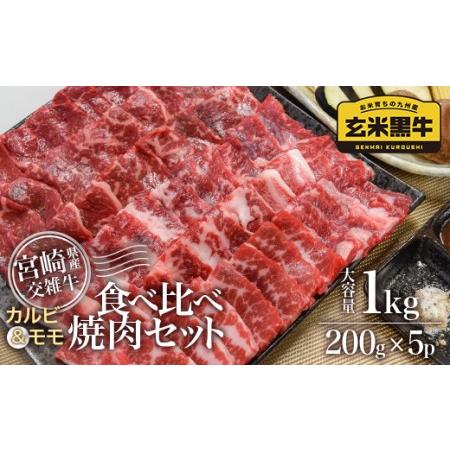 ふるさと納税 玄米黒牛 食べ比べ焼肉セット1kg 国産牛肉 カミチク[1.9-11] 宮崎県西都市