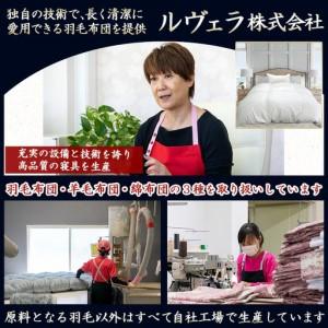 ふるさと納税 二層マウントフィット掛ふとん(ブラウン)【S】≪みやこんじょ特急便≫_55-E101-br-Q_(都城市) 羽毛掛布団シングル/150×210cm .. 宮崎県都城市の画像
