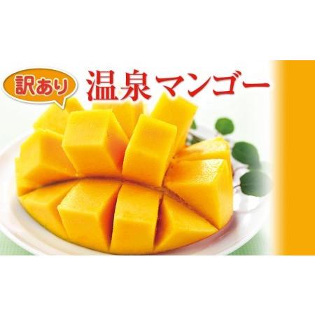 ふるさと納税 W 2234 訳あり マンゴー 温泉マンゴー 1kg 鹿児島県垂水市 Phloeme Eco