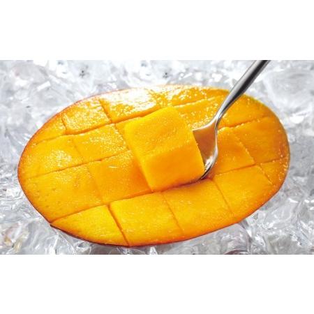 ふるさと納税 W 2234 訳あり マンゴー 温泉マンゴー 1kg 21年夏発送 鹿児島県垂水市 ふるさと納税サイト ふるなび 通販 Yahoo ショッピング