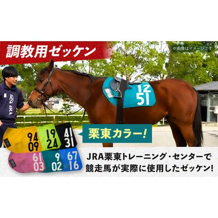 ふるさと納税 【父の日】【JRA】調教用ゼッケンと騎手サイン色紙 (栗東
