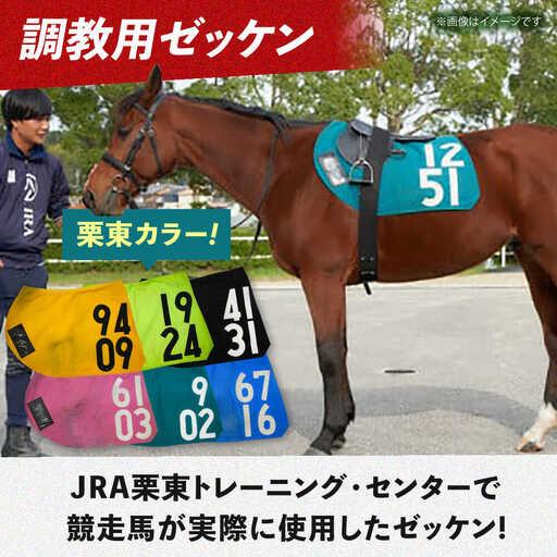 ふるさと納税 【JRA】調教用ゼッケンと騎手サイン色紙 (栗東カラー