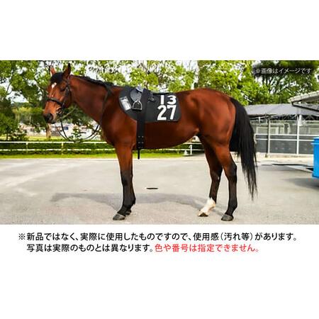 ふるさと納税 【父の日】【JRA】調教用ゼッケンと騎手サイン色紙 (栗東