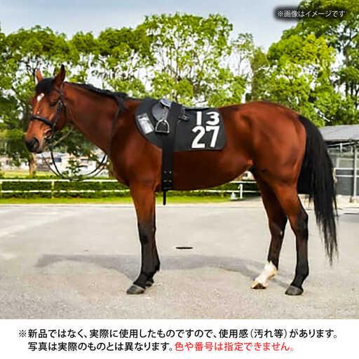 ふるさと納税 【JRA】調教用ゼッケンと騎手サイン色紙 (栗東カラー