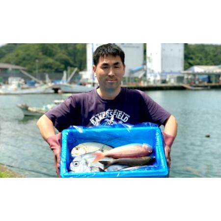 ふるさと納税 逆輸入 新鮮土佐魚の詰合せセットA 【5％OFF】 高知県宿毛市