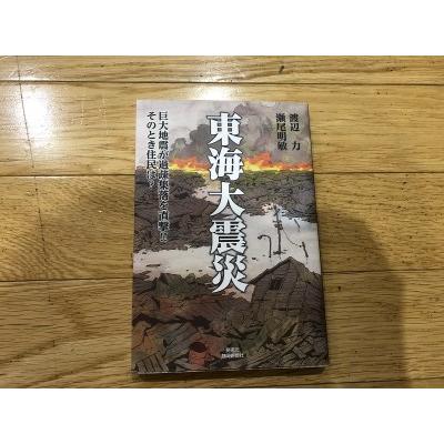 ふるさと納税 渡辺 力の近未来小説・東海大震災 静岡県南伊豆町