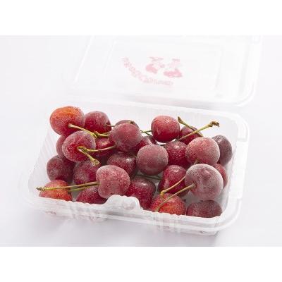 ホットセール ふるさと納税 フローズンさくらんぼ 紅てまり 2l玉0g入 A 0734 山形県東根市