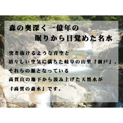 ふるさと納税 S13-01 高賀の森水 48本（500ml24本入×2ケース） 〜モンドセレクション最高金賞連続受賞！ ペットボトル 水〜 岐阜県関市の画像