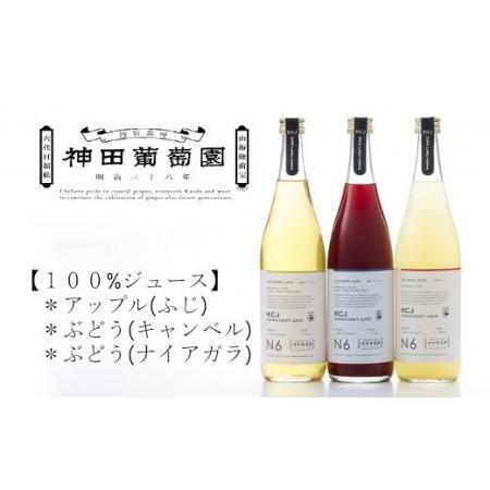 ふるさと納税 100%ジュース リアスシリーズ720ml×3本 岩手県陸前高田市