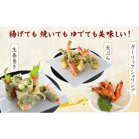 ふるさと納税  車海老【久米島漁協】活〆冷凍車海老　生食用1.5kg 車えび 海鮮 沖縄県久米島町_3