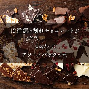 ふるさと納税 割れチョコアソート 12種（準チョコレート）1kg 〔Dw005