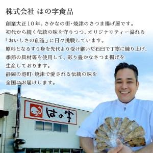 ふるさと納税 a10-545 焼津 産 さつま揚げ セット 900g以上 詰合せ 静岡県焼津市の画像