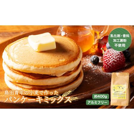 ふるさと納税 島田青年の小麦で作ったパンケーキミックス 約400g 小麦 ミックス パン ケーキ 三重県 伊勢志摩 三重県南伊勢町 ふるさと納税サイト ふるなび 通販 Yahoo ショッピング