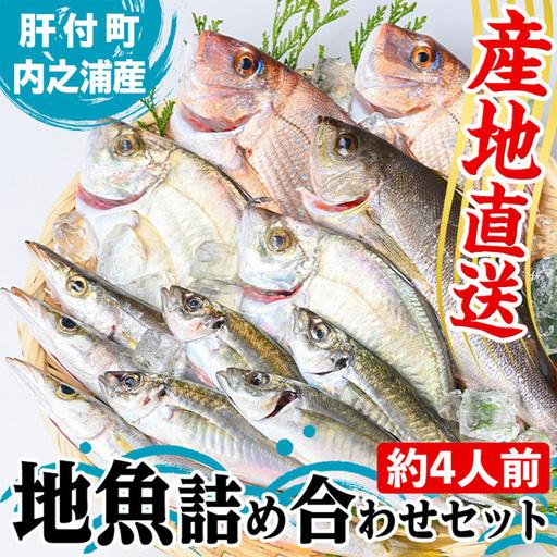 ふるさと納税 鮮魚ボックス 鮮魚BOX 地魚 詰め合わせ 約4人分 産地直送[マルケイ水産]A09002 鹿児島県肝付町