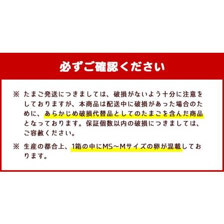 【２点セット】 ふるさと納税 【定期便】久住高原 平飼いたまご 箱たまご 10kg×3ヶ月 160~180個入 大分県竹田市 【BCD1361537709】(47940円)