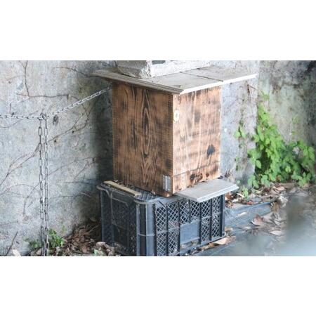 ふるさと納税 はちみつ 無添加 非加熱 希少 球磨産  地蜂蜜 150g×2本 加工食品  熊本県錦町の画像