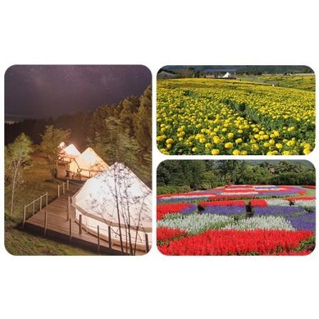 在庫一掃最安挑戦 楽天市場 ふるさと納税 くじゅう花公園 グランピング 花と星宿泊 セールsale