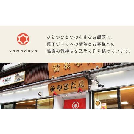 ふるさと納税 【やまだ屋】もみじファミリー15個入 広島県廿日市市｜furunavi｜02