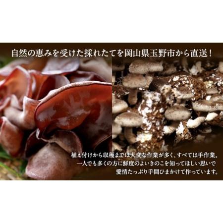 ふるさと納税 【 産地直送 】 有機JAS 生しいたけ定期便 1kg×6ヶ月 オーガニック しいたけ きのこ 野菜 岡山県 玉野市 栽培期間中化学肥料.. 岡山県玉野市