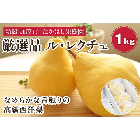 ふるさと納税 [2026年先行予約]たかはし果樹園 謹製 新潟特産 幻の洋梨ル・レクチェ 厳選品 約1kg [11月下旬〜順次配送] 新潟県加茂市