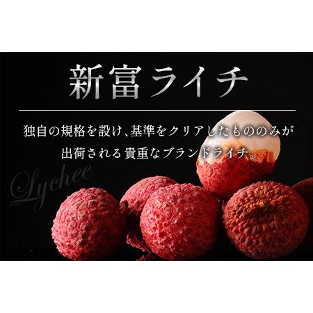 ふるさと納税 希少！国産＜新富ライチ＞40g前後×10玉［先行予約］※2024年出荷【B120】 宮崎県新富町  O1058629175(10500円)