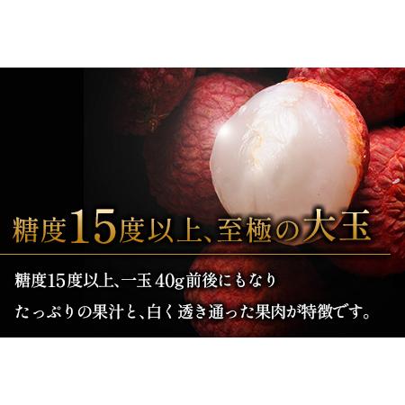 ふるさと納税 希少！国産＜新富ライチ＞40g前後×10玉［先行予約］※2024年出荷【B120】 宮崎県新富町  O1058629175(10500円)