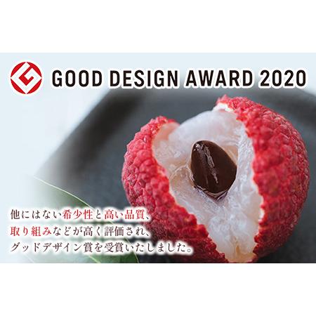 ふるさと納税 希少！国産＜新富ライチ＞40g前後×10玉［先行予約］※2024年出荷【B120】 宮崎県新富町  O1058629175(10500円)