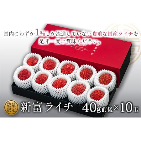 ふるさと納税 希少！国産＜新富ライチ＞40g前後×10玉［先行予約］※2024年出荷【B120】 宮崎県新富町  O1058629175(10500円)