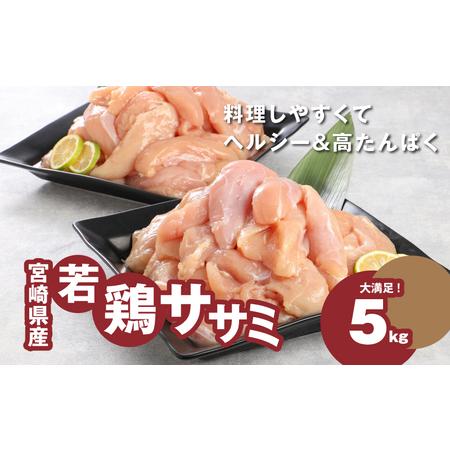 新品 ふるさと納税 K16 0045 宮崎県産若鶏ささみ 1kg 5パック 宮崎県木城町 最安値に挑戦 Www Muslimaidusa Org