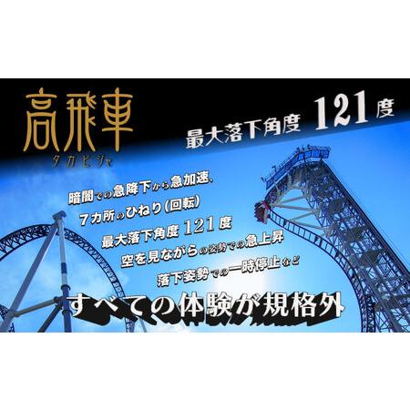 ふるさと納税 富士急ハイランド フリーパスペアご招待券 遊園地