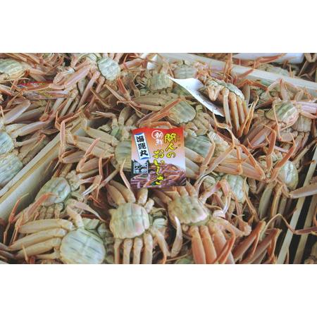 ふるさと納税 セコガニ／驚きの旨さ！茹でセコガニ 【訳あり】 中サイズ5匹入　ボイルセコガニ・訳ありセイコガニ 京都府京丹後市 